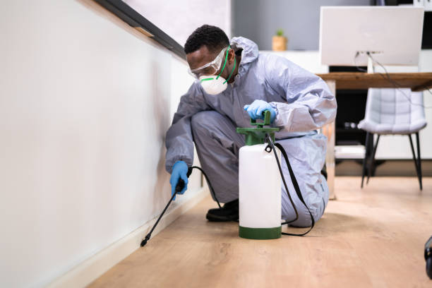 Best Pest Prevention Services  in South Hooksett, NH